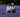 Lavender: An Interview with Anne Butler of Lavenderfields, Hampshire, UK