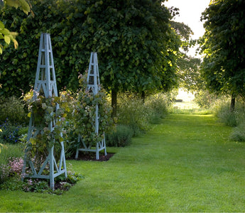 Secret Gardens of East Anglia
