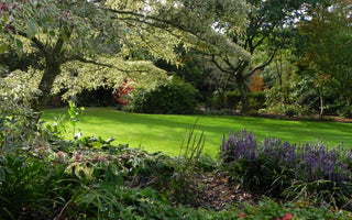 #RHS Rosemoor; The glorious Devon garden of The Royal Horticultural Society