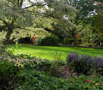 #RHS Rosemoor; The glorious Devon garden of The Royal Horticultural Society