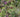Light height; the magic ingredient in a planting scheme