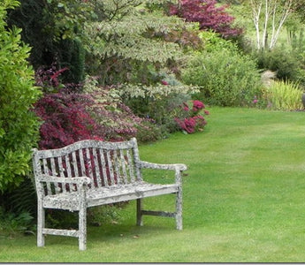 How to plant a garden for high impact & unity