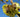 Three Things We Must Do - To Save The Bees, Ourselves And The Planet