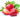 How To Grow Strawberries