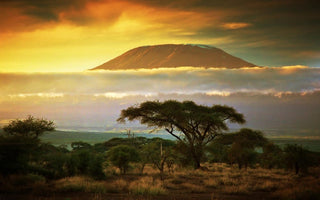 6 Travel Photography Tips -Traveling Light