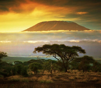 6 Travel Photography Tips -Traveling Light