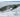 UK/Spanish Whale Watching Trip with David Tipling