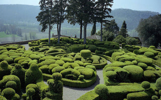 Hedge Shears: What to Buy & Where to Use Them