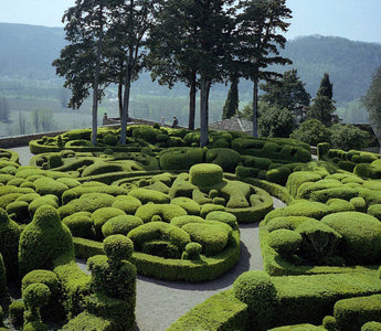 Hedge Shears: What to Buy & Where to Use Them