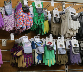How to Choose The Best Gardening Gloves