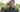 Episode 10: Daffodils with Dr. Noel Kingsbury