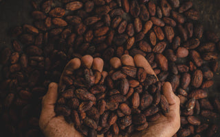 Pairing Chocolate