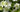 The top 100 Gardening questions 51 &ndash; 60