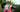 Are You Holding Your Camera Correctly?