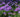 Gardening Trends for 2016