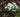 Gardening Jobs For Winter
