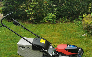 Summer lawn care