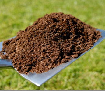 Soil: Preparation and Improvement
