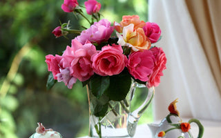 Growing Roses For Cutting