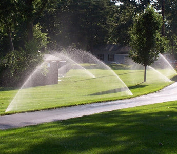 Irrigation: Watering Your Garden