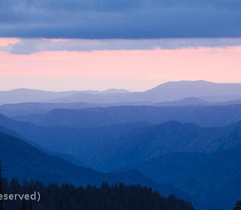 The Histogram: Maximising Your Image Quality: