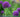 Learning with Experts' Gardening Course on Planting Spring Bulbs