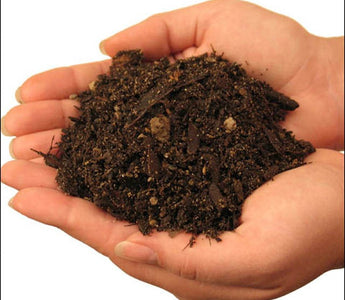 Understanding your Soil: Acid and Alkaline Soils