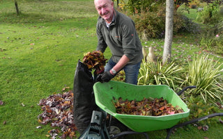 How to Compost Your Leaves!
