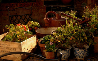 Moving Garden