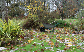 How to use Garden Compost