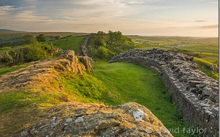 10 Simple Ways to Improve Your Photography