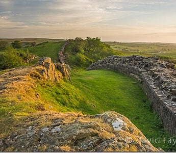 10 Simple Ways to Improve Your Photography