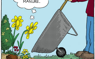 Plant Food & Fertilizer Explained