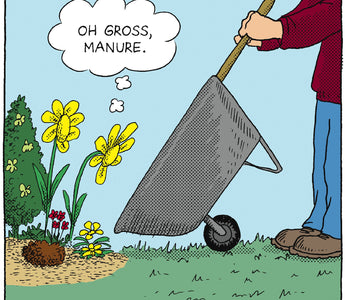 Plant Food & Fertilizer Explained