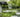 The Brewin Dolphin Garden Chelsea Flower Show 2015