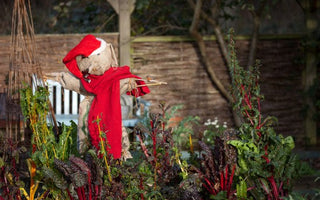 Great Christmas Idea: Gift an Online Gardening Course - Instantly