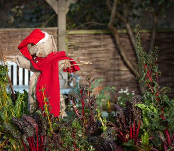 Great Christmas Idea: Gift an Online Gardening Course - Instantly
