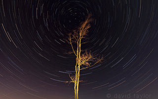 Star Trails: Long exposures of the night sky