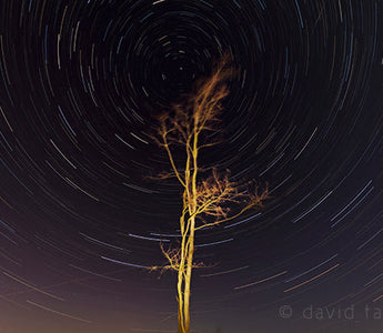 Star Trails: Long exposures of the night sky