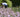 Is horticulture a cause worth supporting?