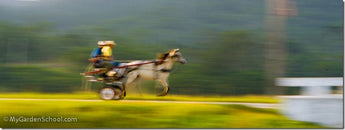 Shutter Speed: Understanding Shutter Priority Mode (TV)