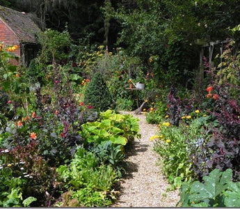 Plant Protection without chemicals