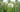 Weeds: Planning The Battle & Winning The War