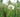 Weeds: Planning The Battle & Winning The War