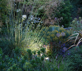 A Spotlight on Solar Lighting