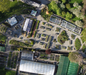 Realising a dream: Abi and Tom's Garden Plants at Halecat