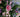 Wedding flowers: Decorating the church