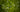 Specular Highlights