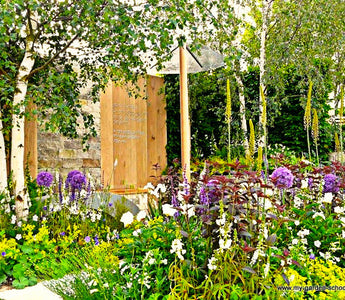 Plantsman's Profile:  Paul Hervey Brookes