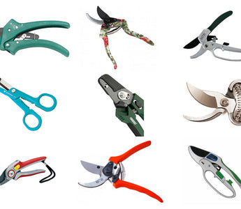 Which Secateurs Should I Buy?